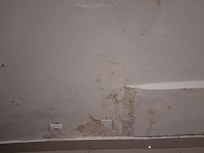 Damp walls