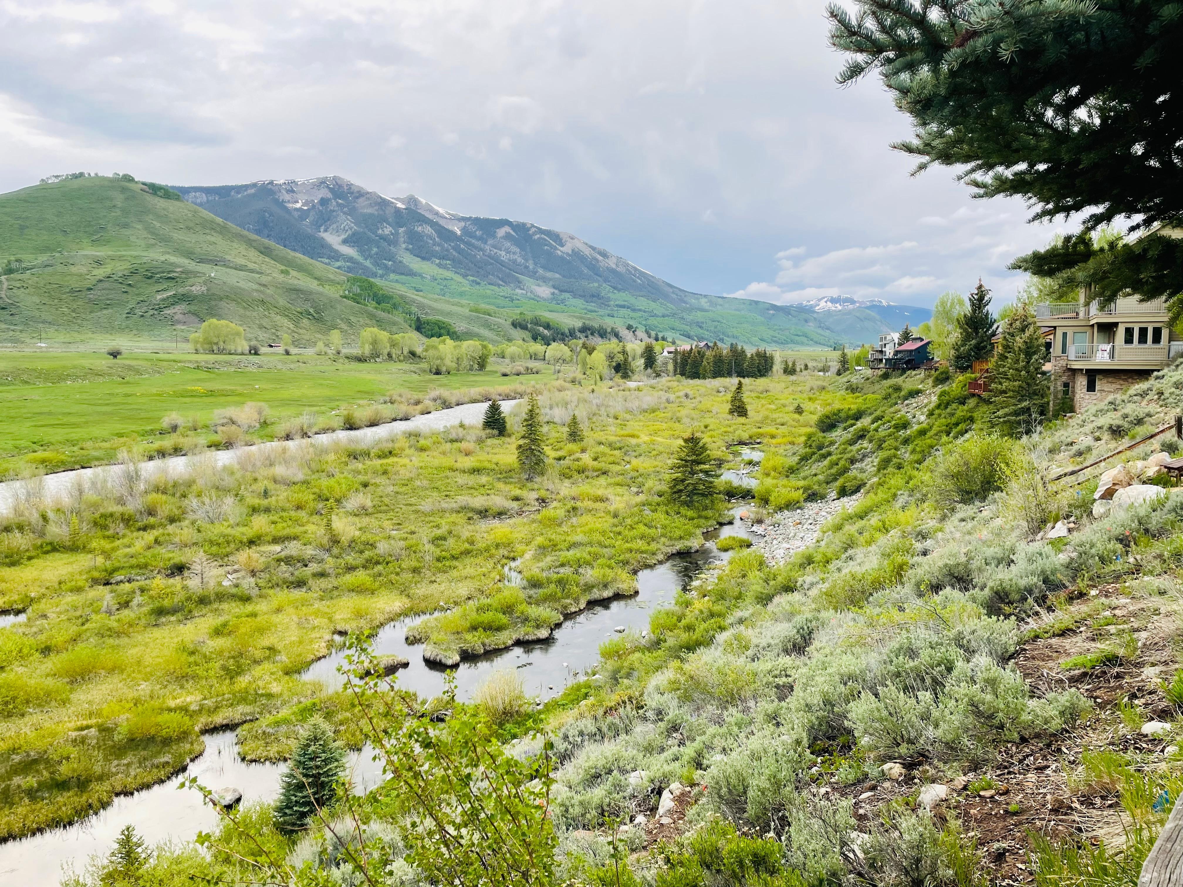 View from the deck, and all the bedrooms! 
