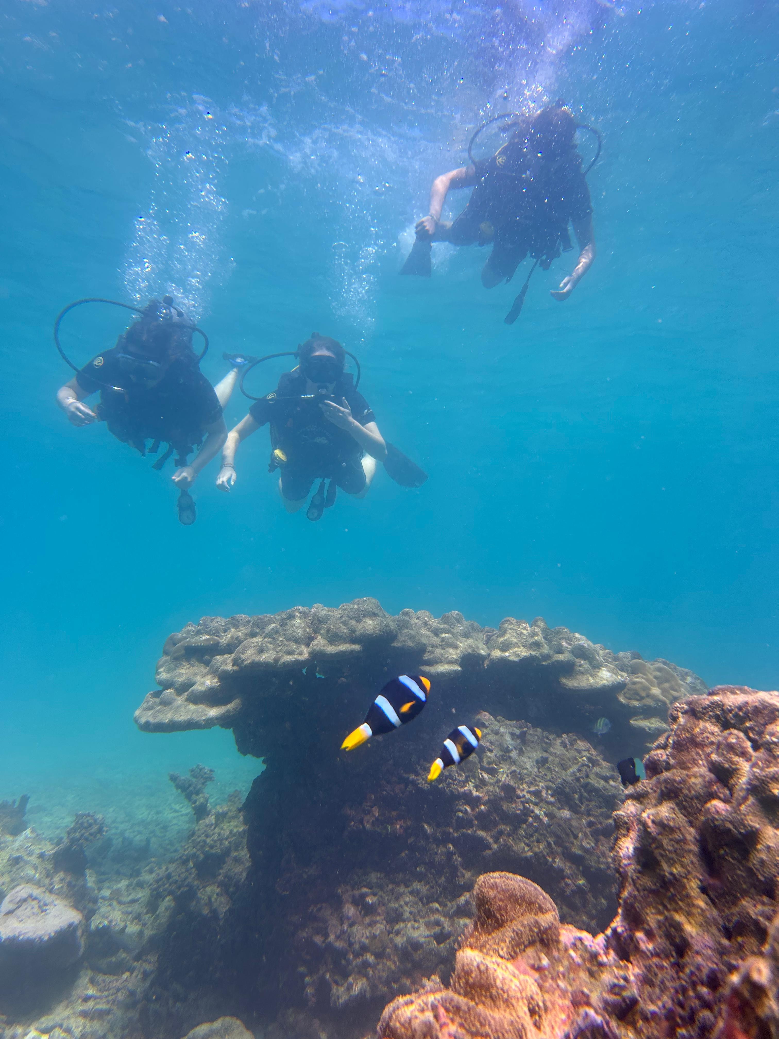 Dykking ved øy utenfor Ao Nang.