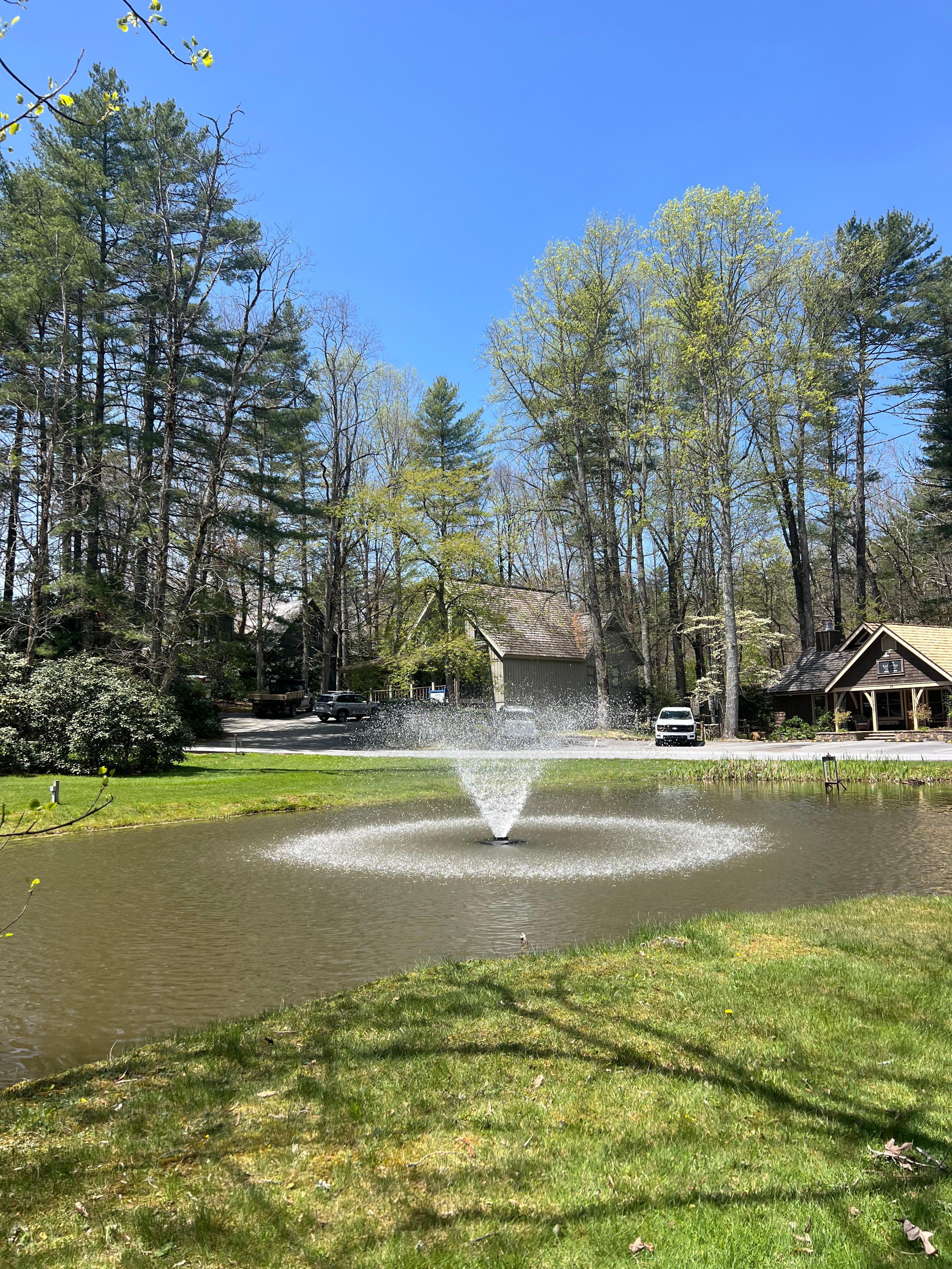 The pond; photo taken from the bench just outside  the Vrbo