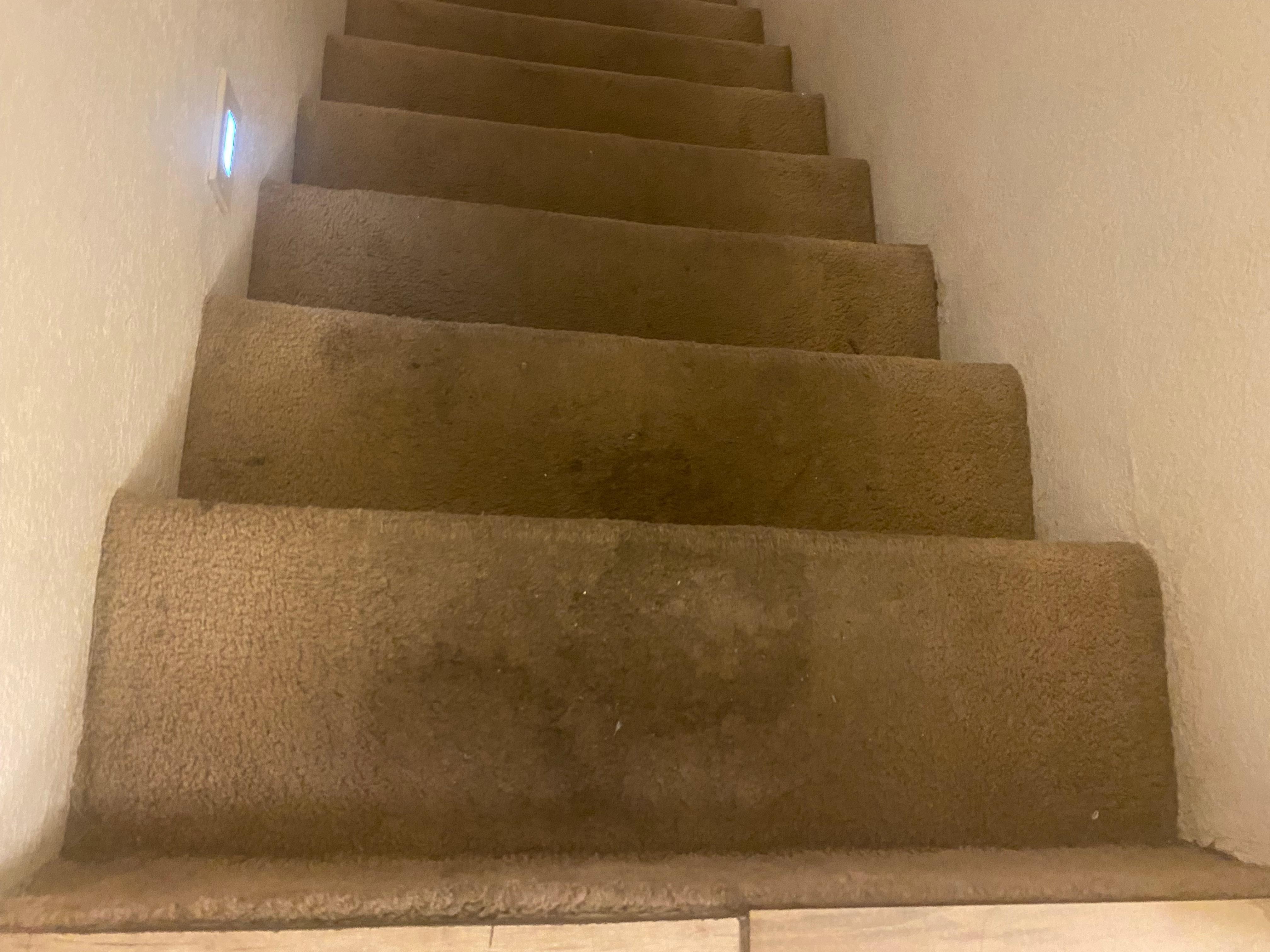 The steps were full of dirt and debris 