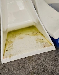 Toilet brush in our bathroom