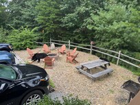 Visit from Mama bear and cub!