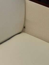 The cochroach in the sofa