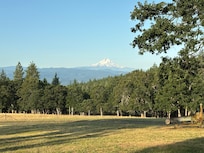 View from the living room and kitchen.