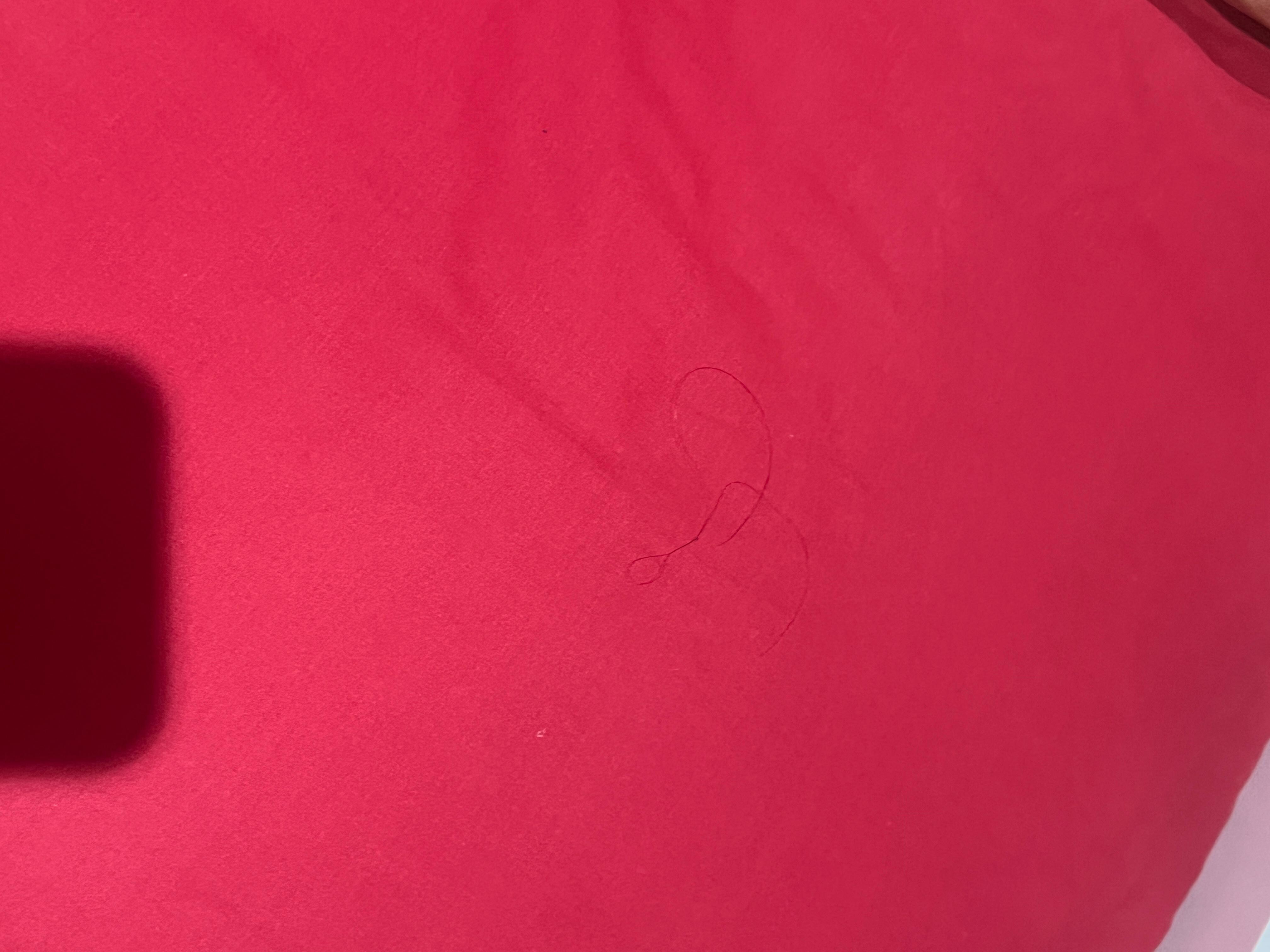 A long black hair on the bed