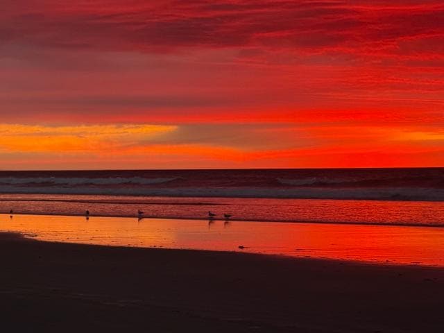 What a sunrise!