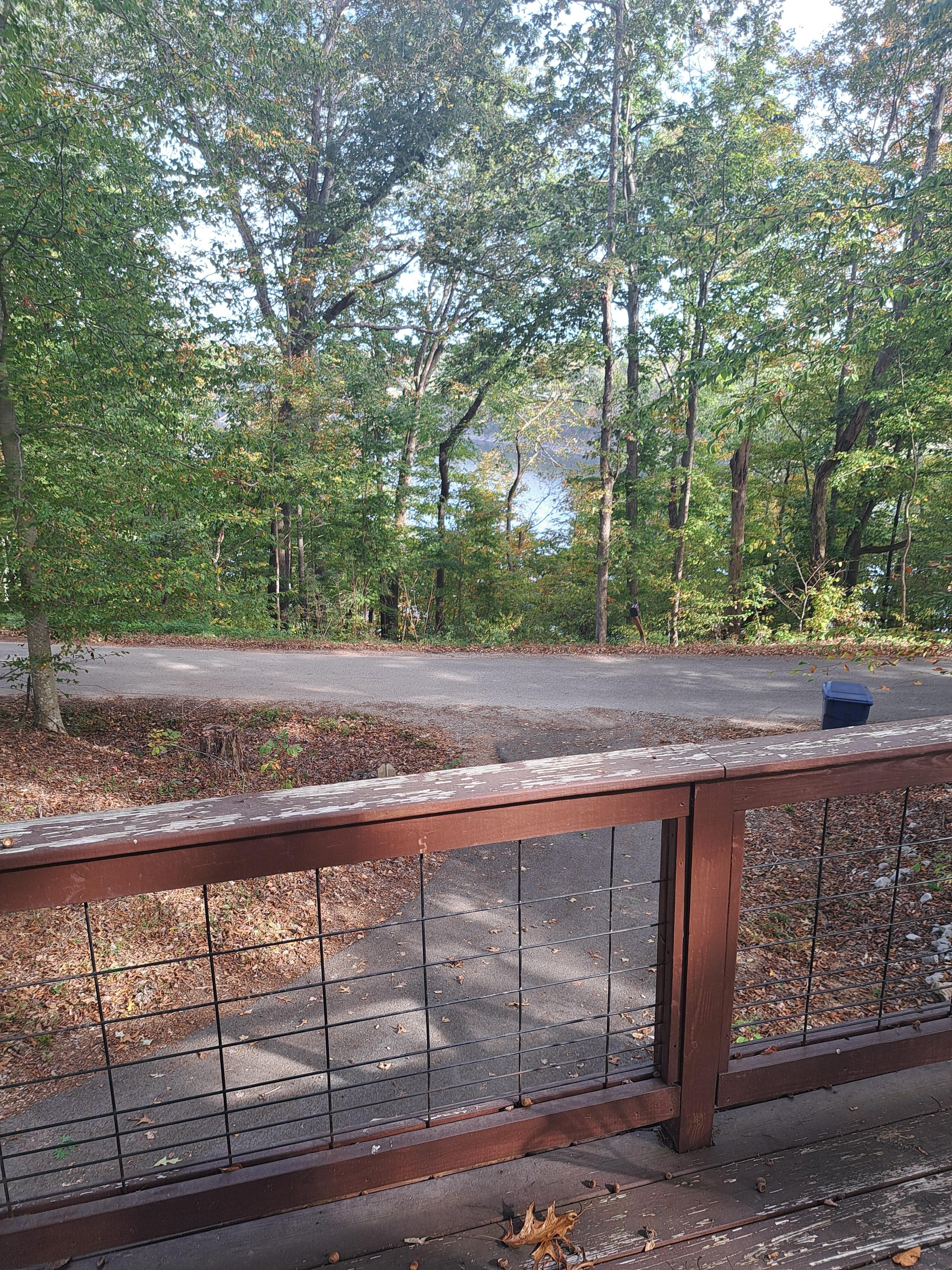 A look off the patio.