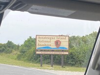 Assateague State Park