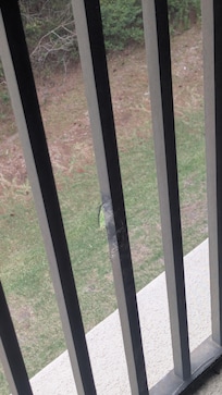 Hole in screen facing outside.