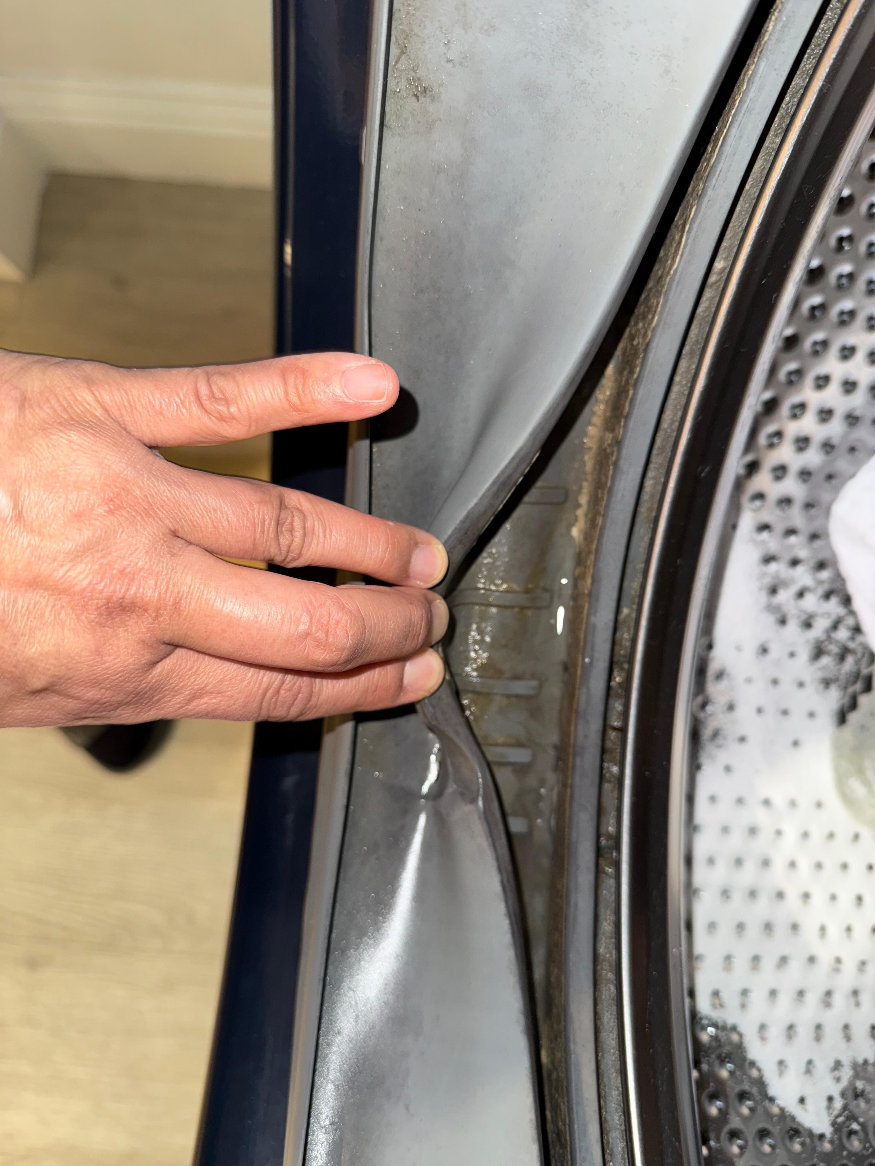 Mildew in the smelly washing machine