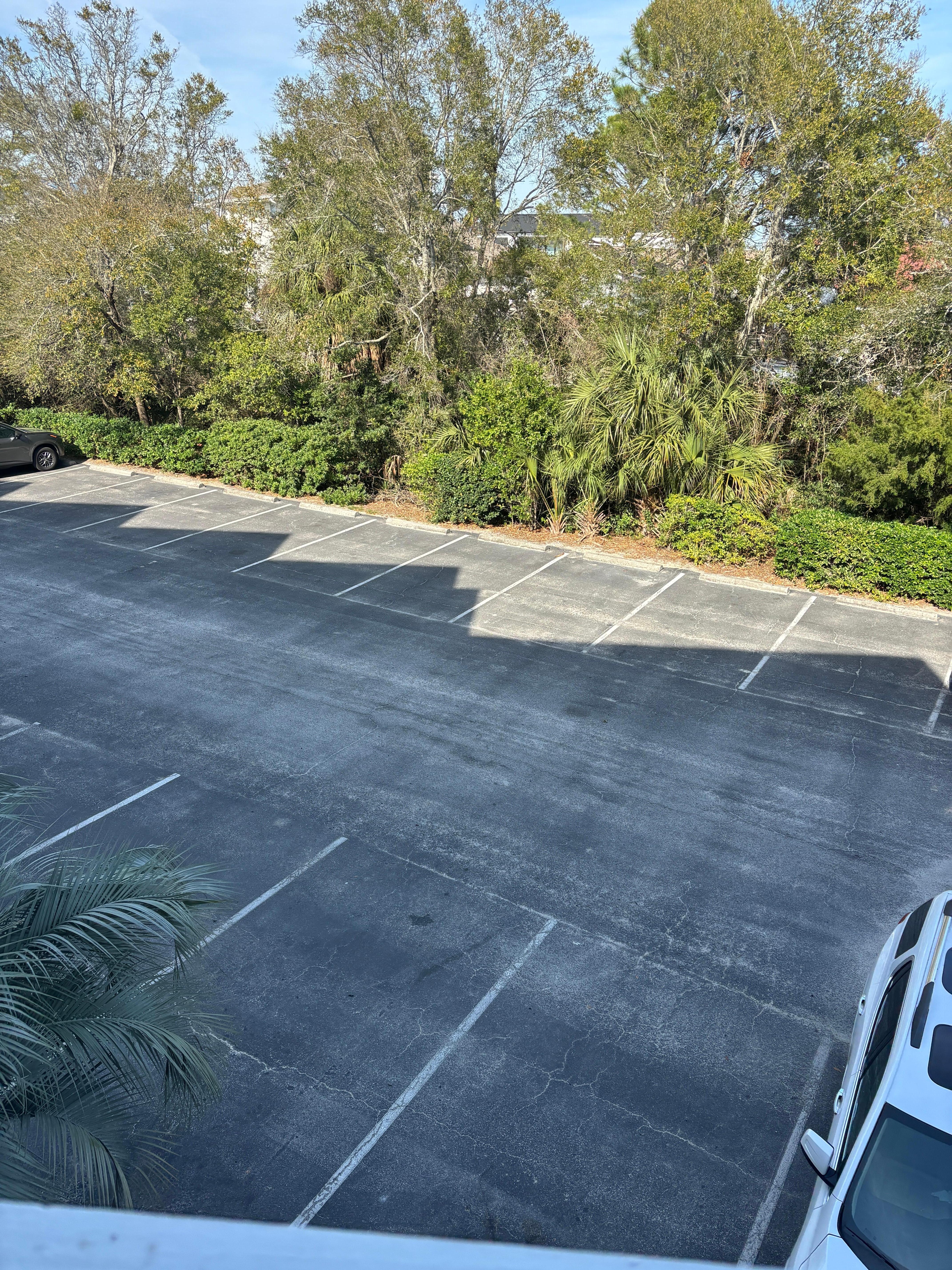 My view from my balcony