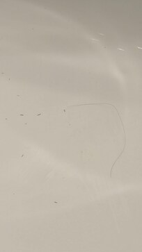 shaver clippings in sink