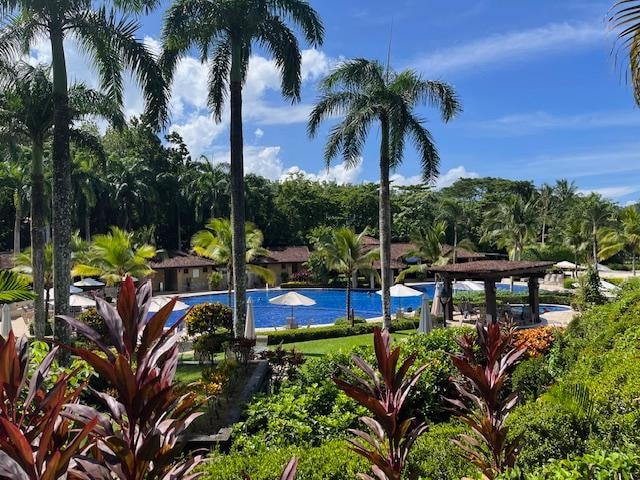 View from patio of beach club 