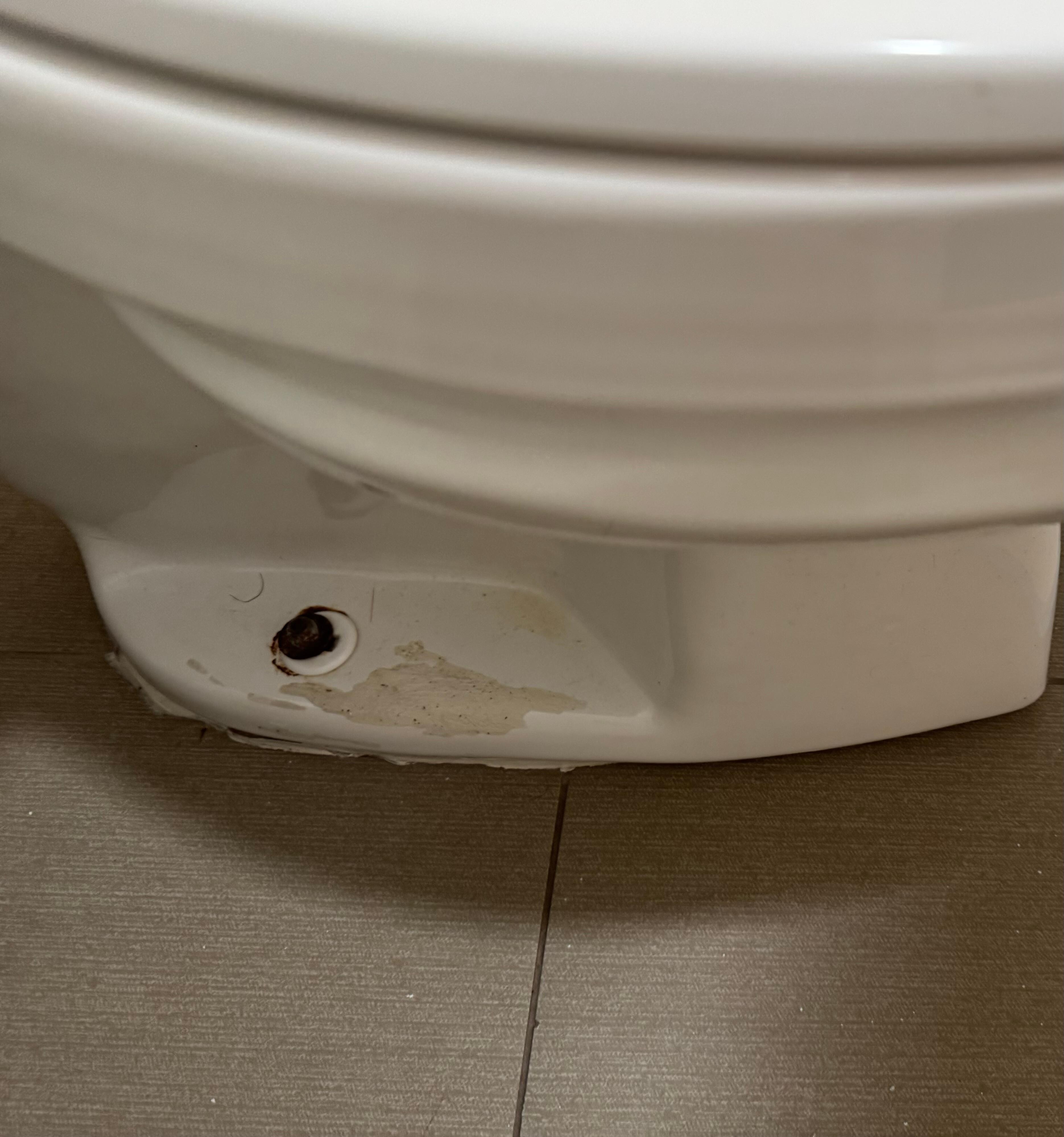Pee that no one cleaned