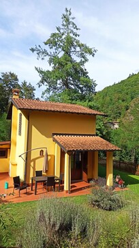 Haus