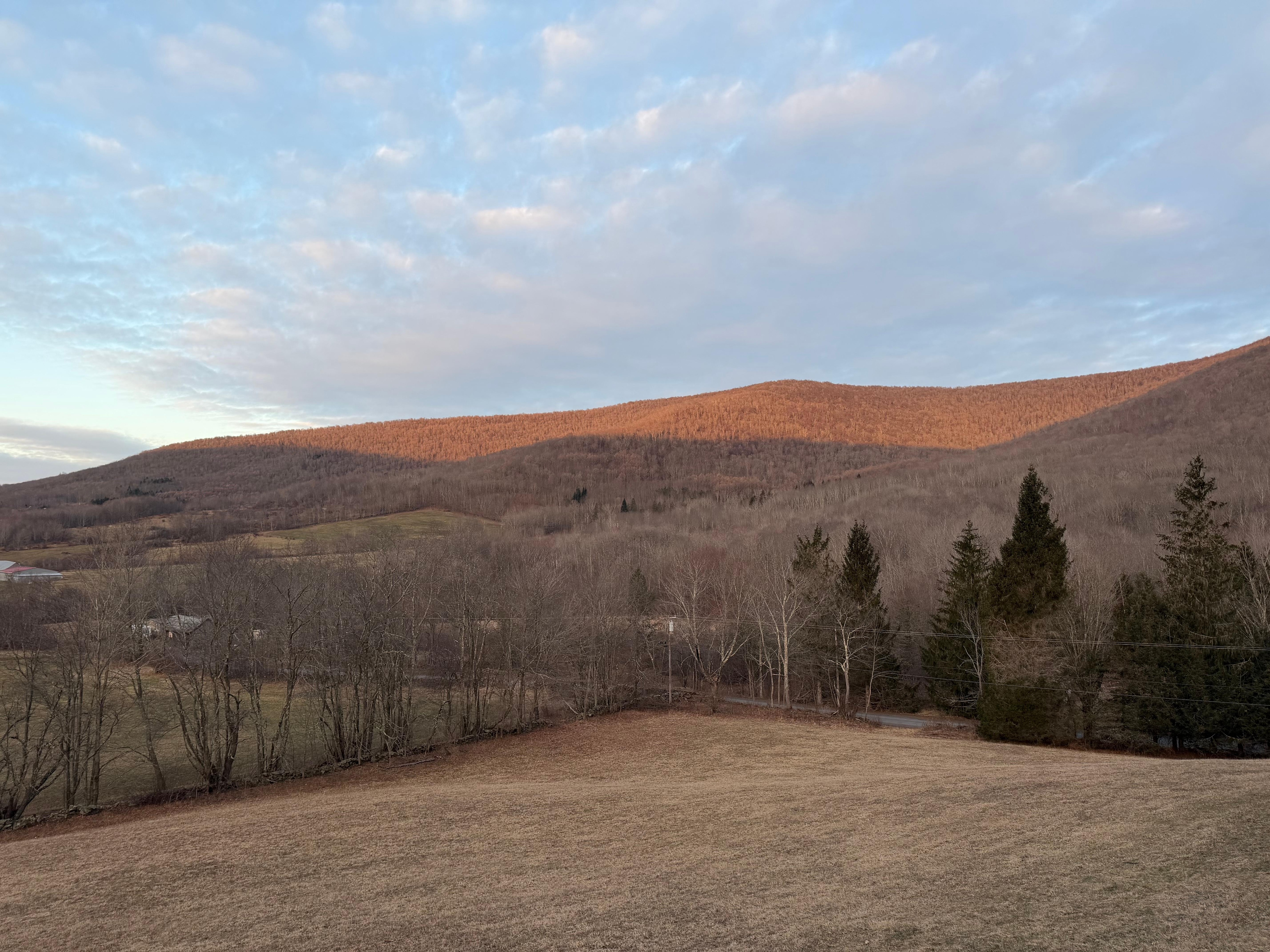 View from the deck