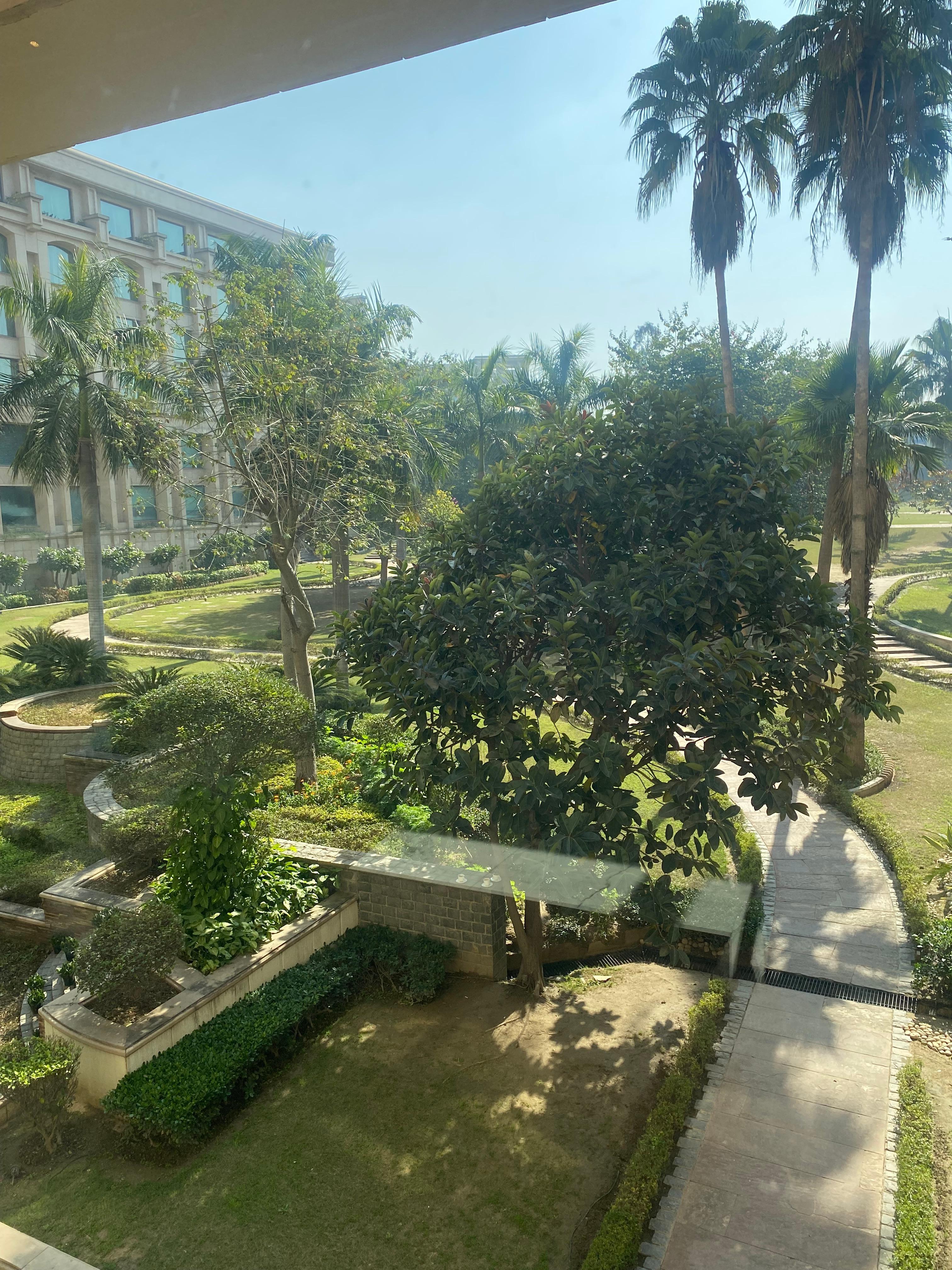 Hotel garden