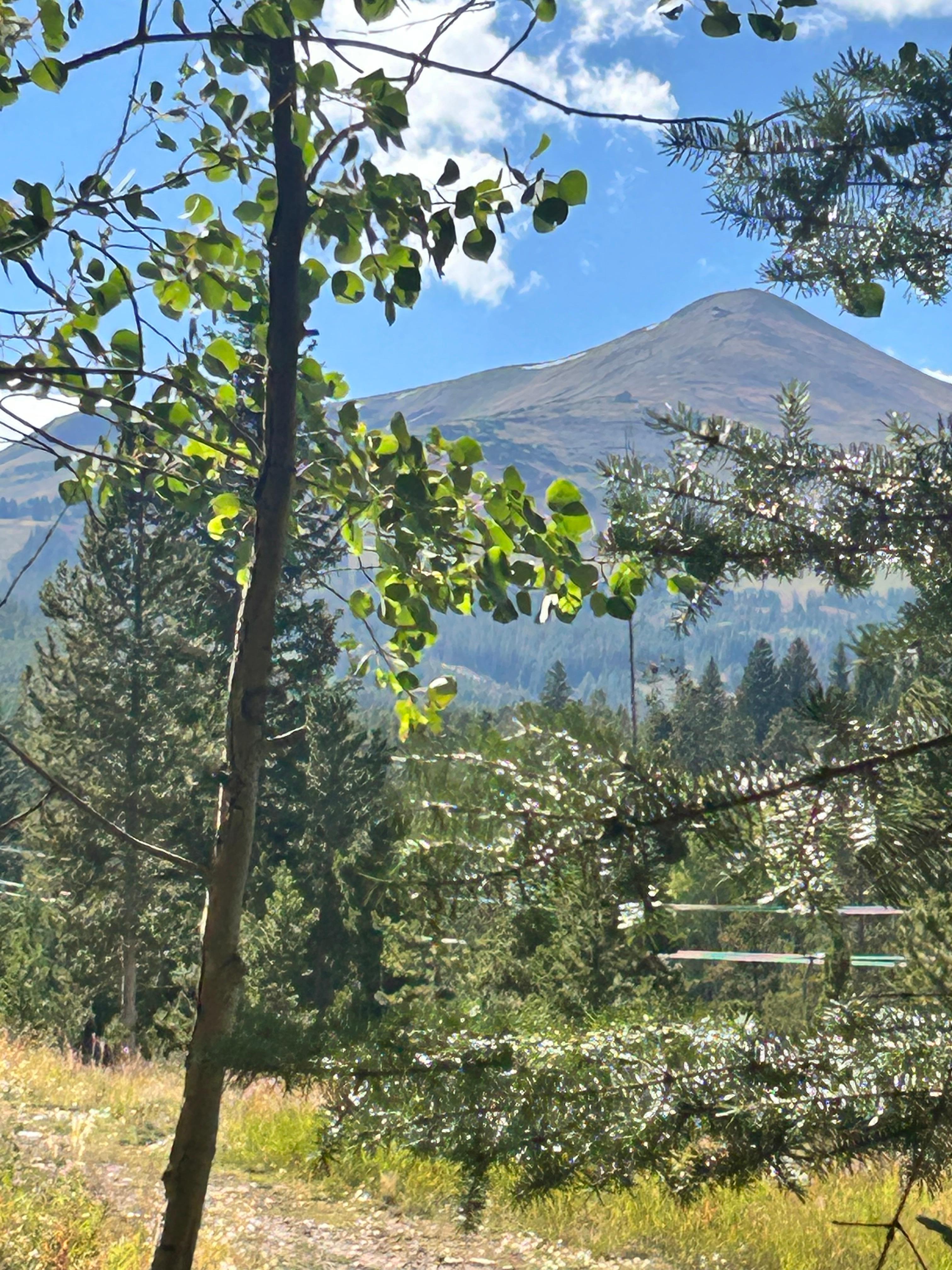 View from patio deck. 