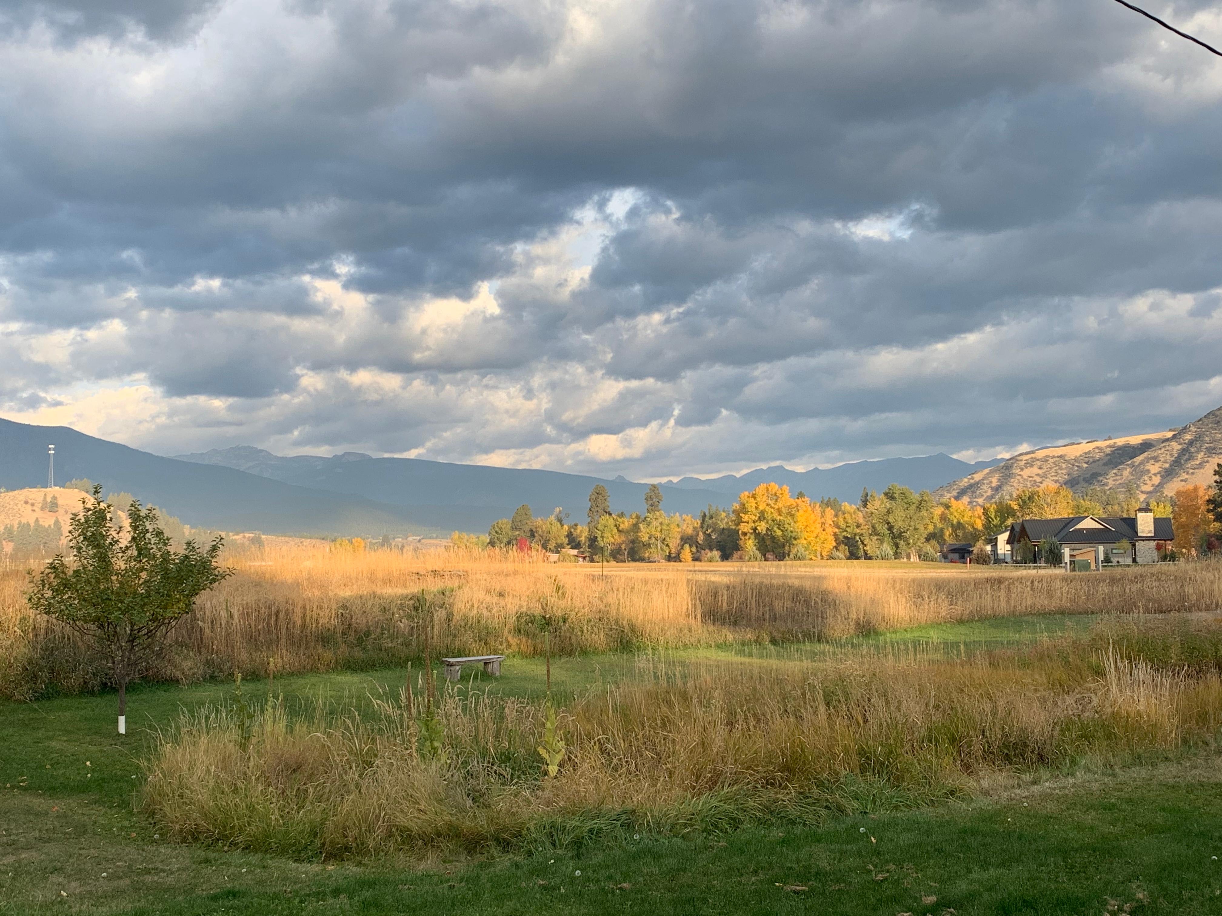 View off the deck