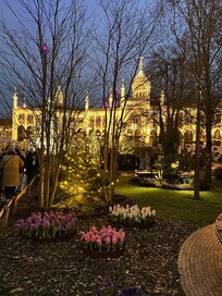 Jardin de Tivoli à Noël