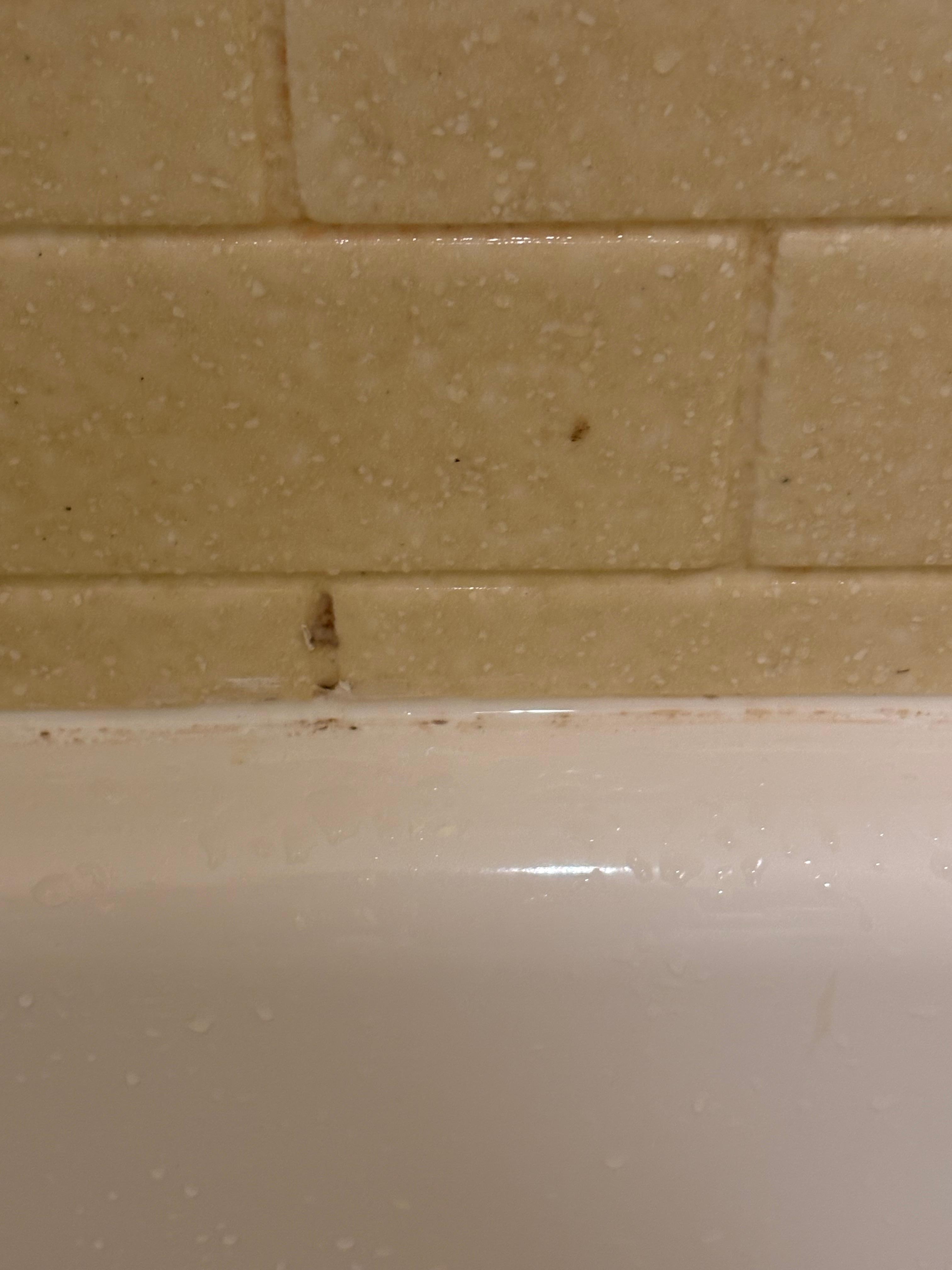 Tub really needs to be scrub badly. 