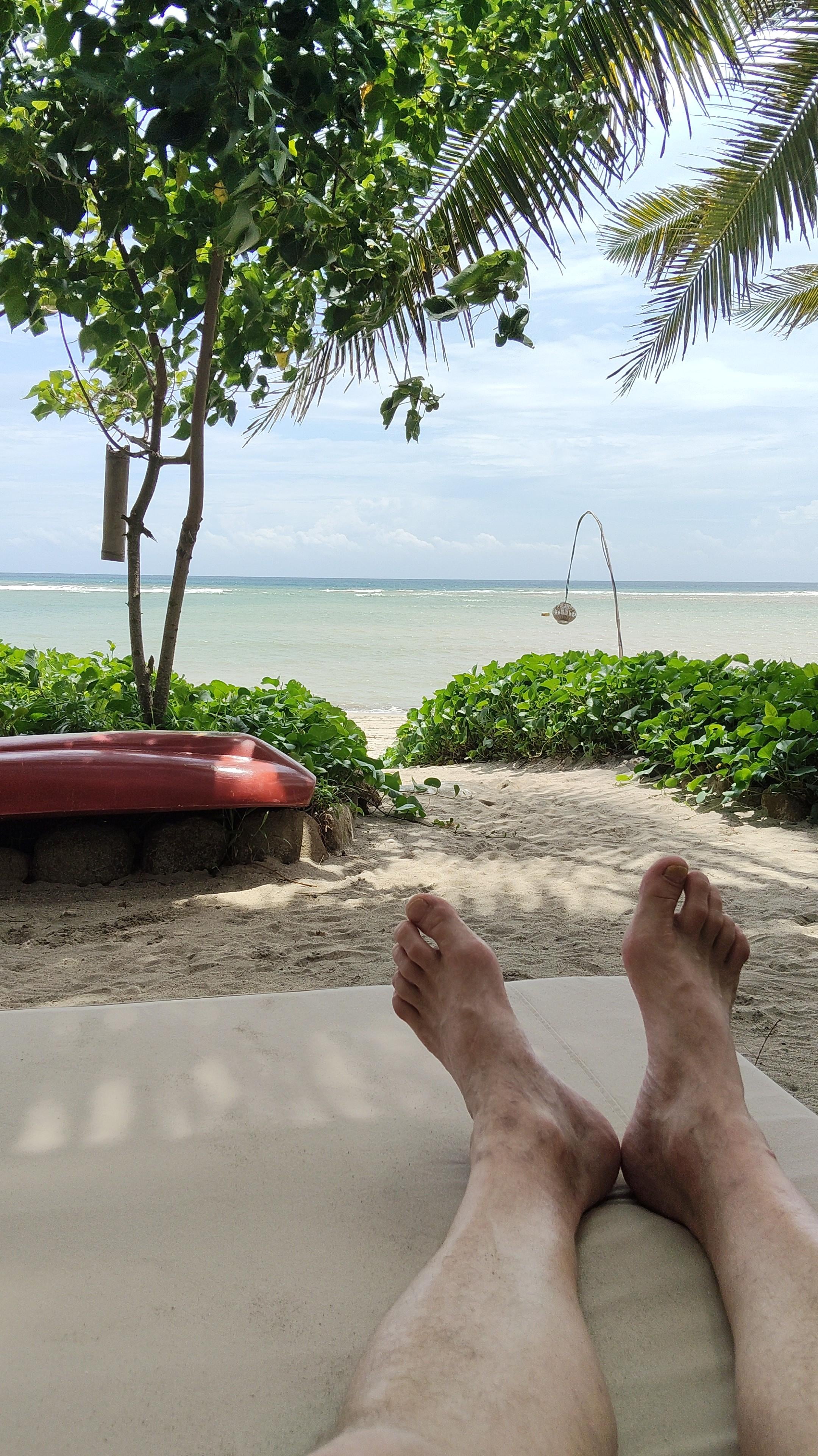 Lovely soft and comfy loungers, with terrific views 