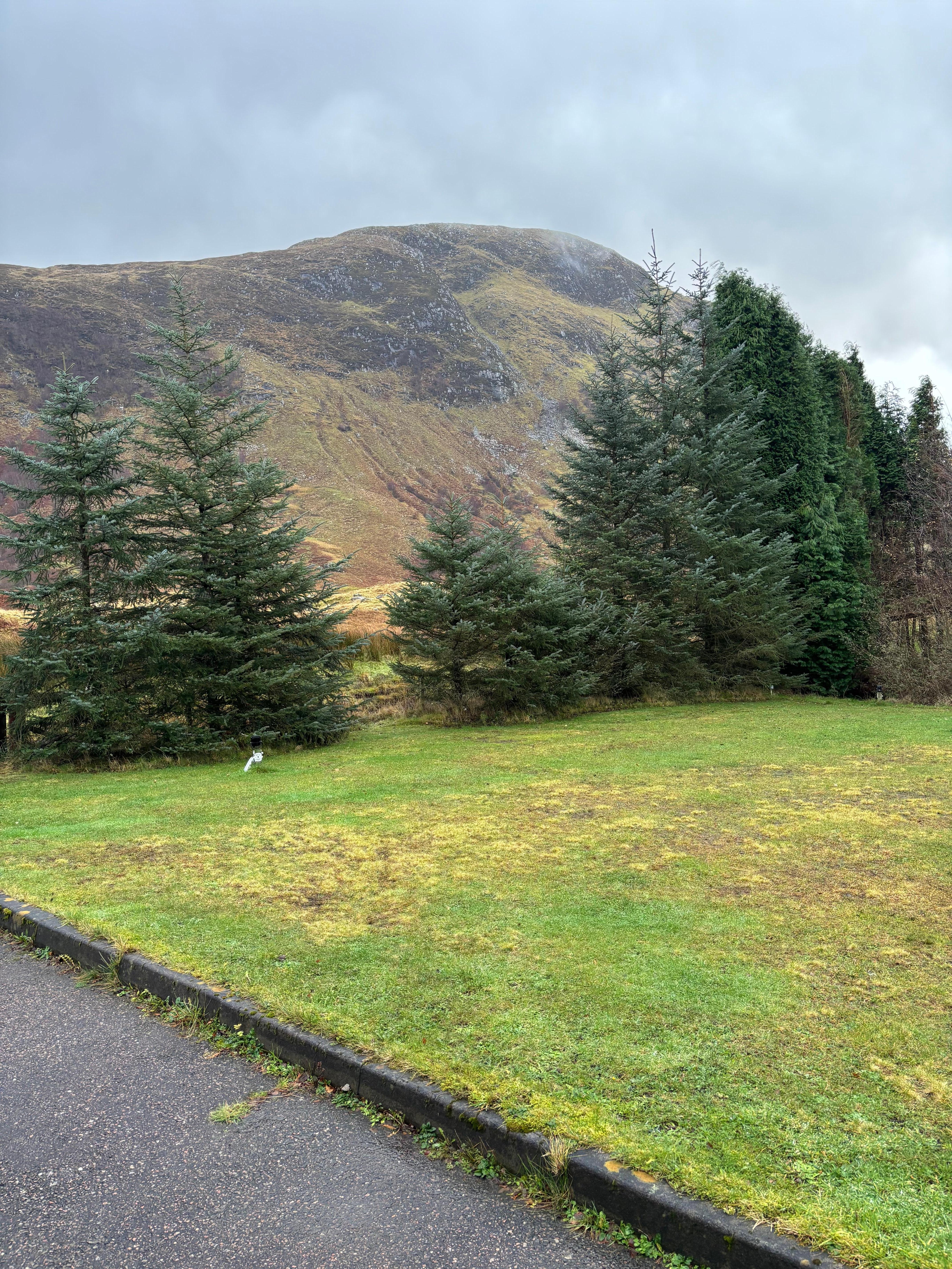Beautiful view of Ben Nevis from the cottage.