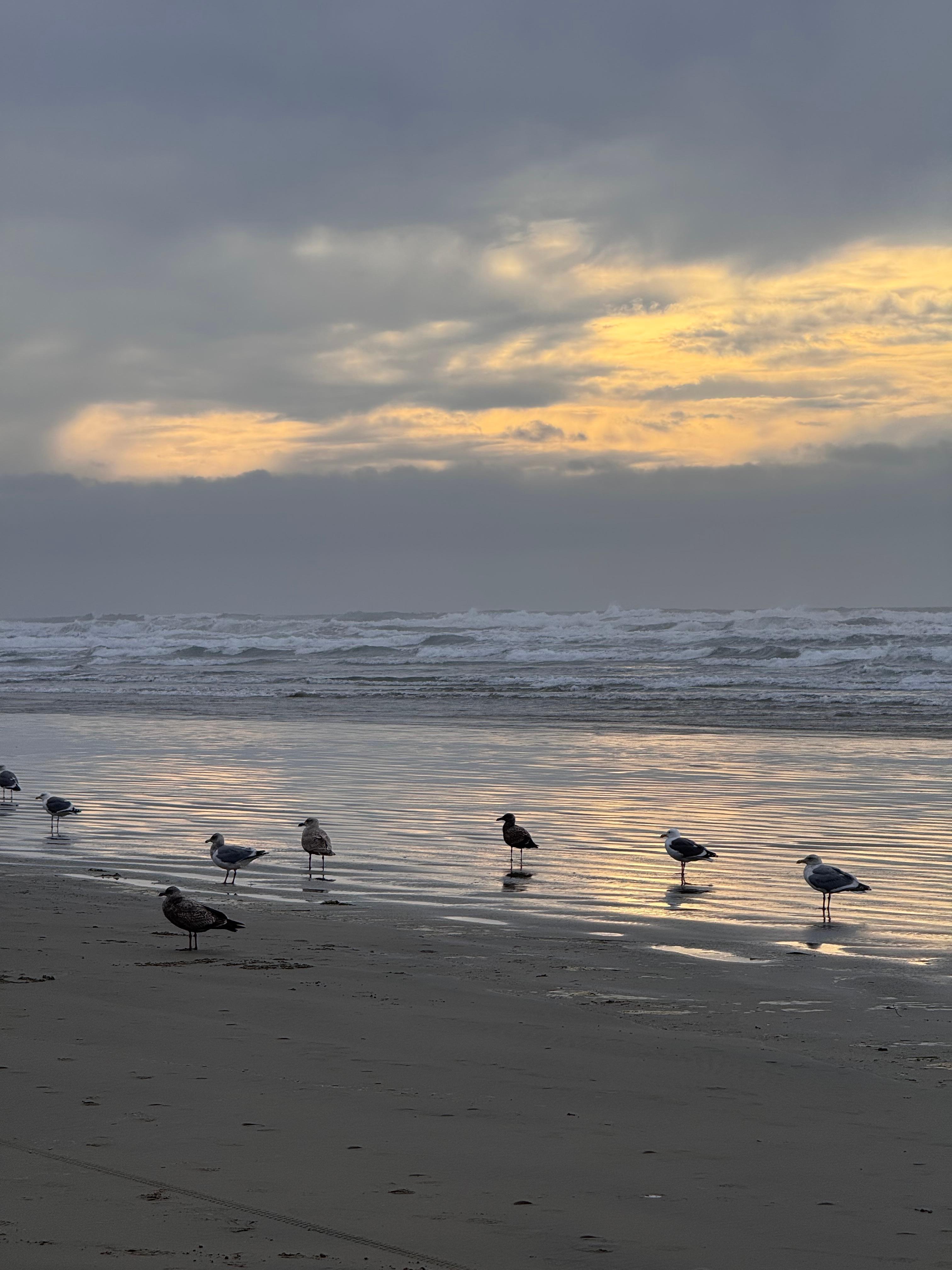Walking on the beach near sunset. 