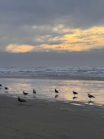 Walking on the beach near sunset.