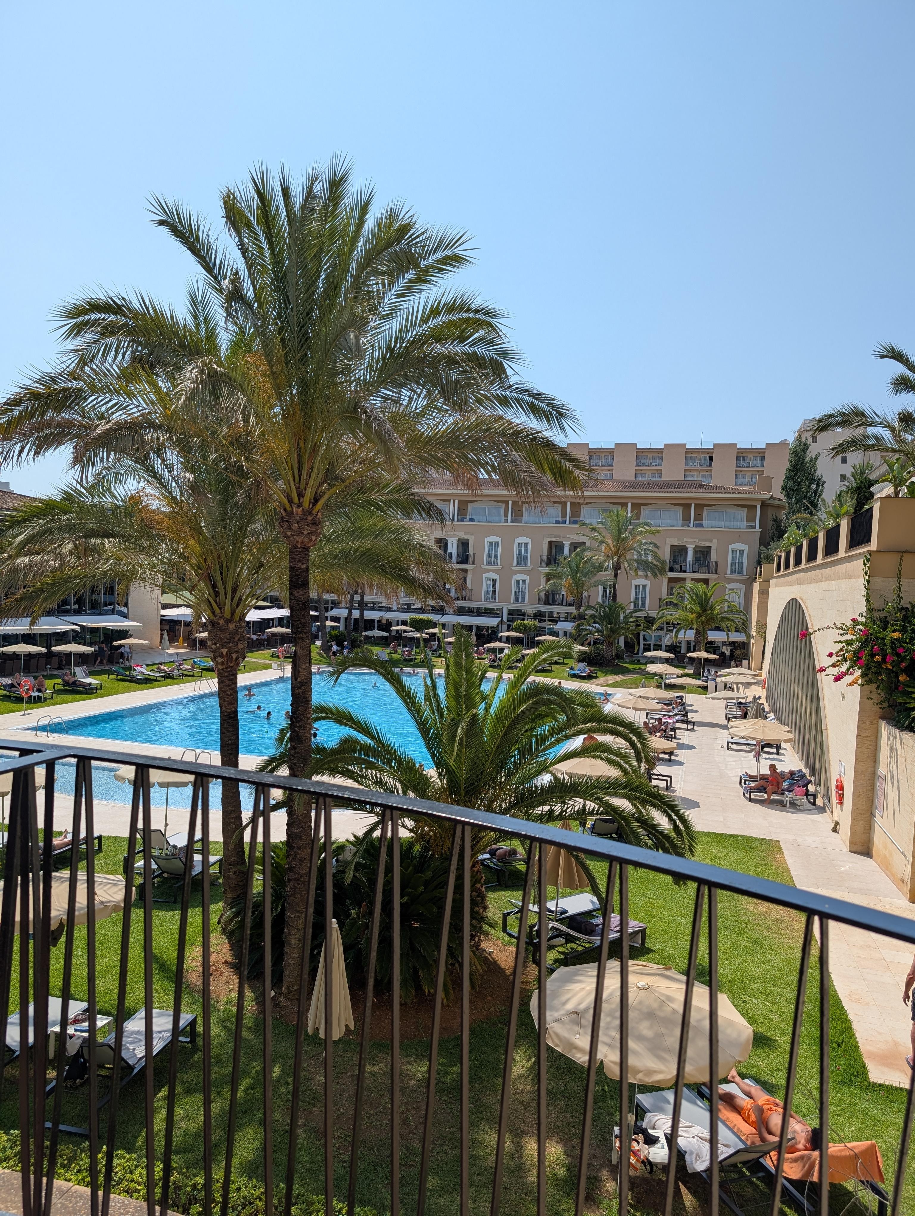 View from room 239