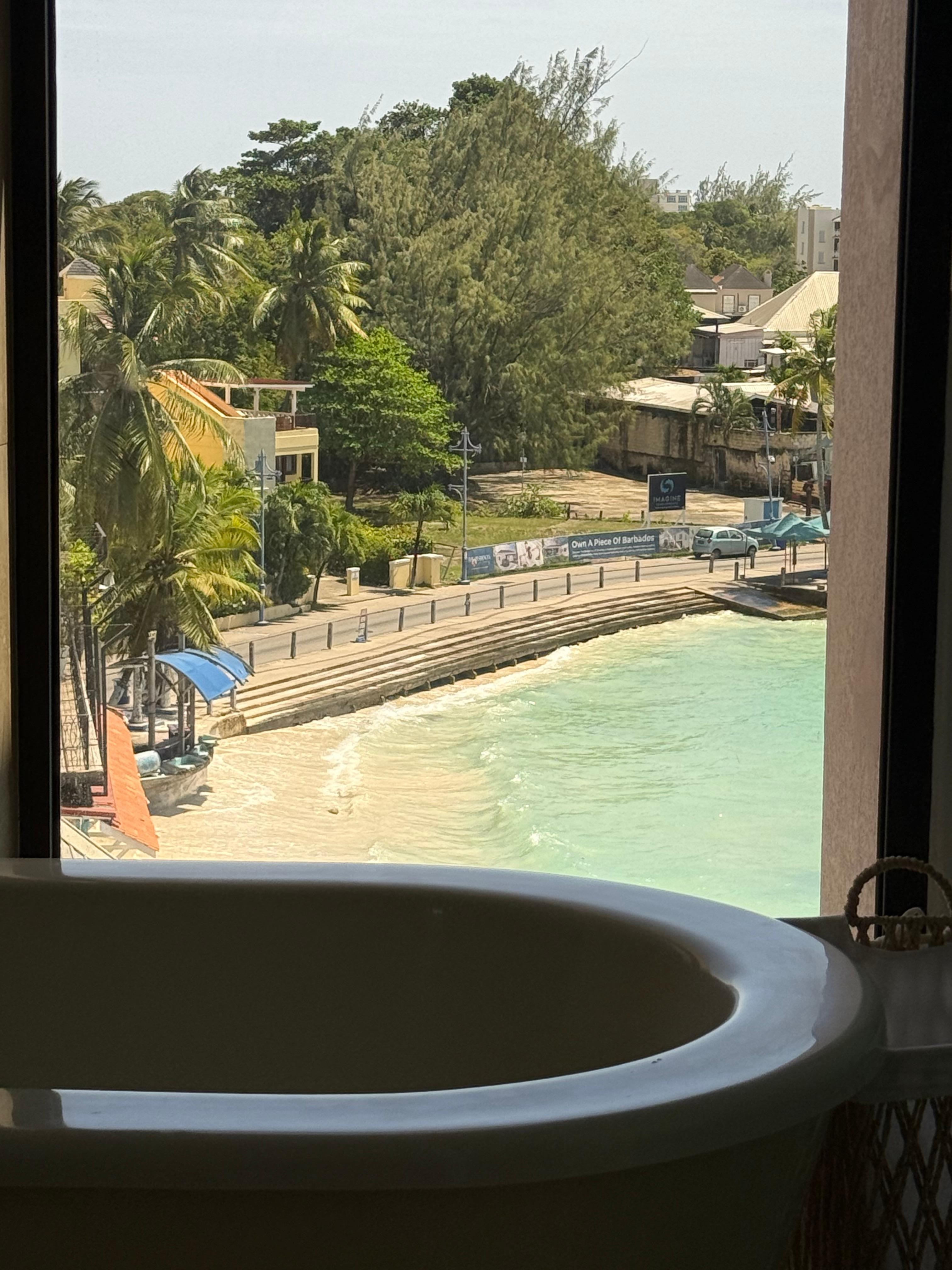 Best view from a toilet ever? 