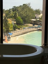 Best view from a toilet ever?