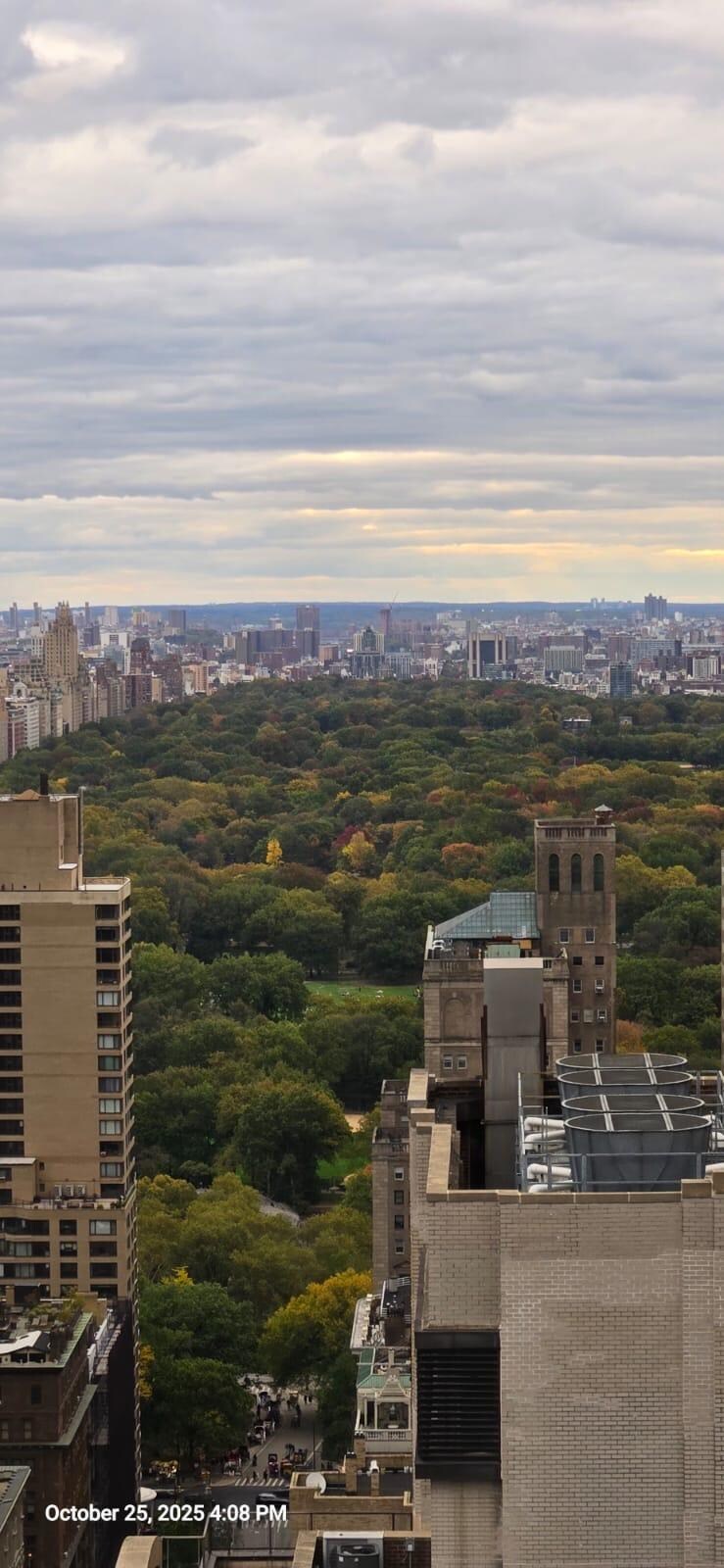 Mi vista al central park