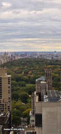 Mi vista al central park