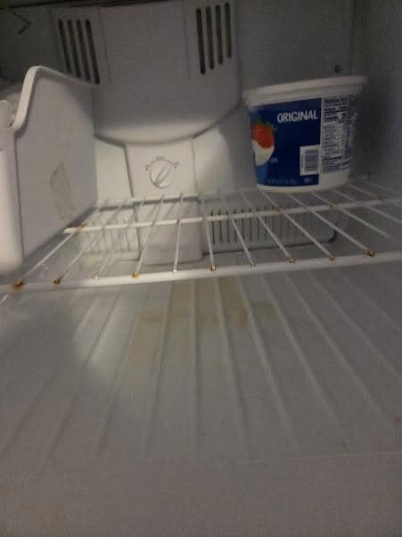 Refrigerator freezer had frozen orange liquid and rusted food grates 