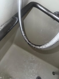 Filthy shower hose