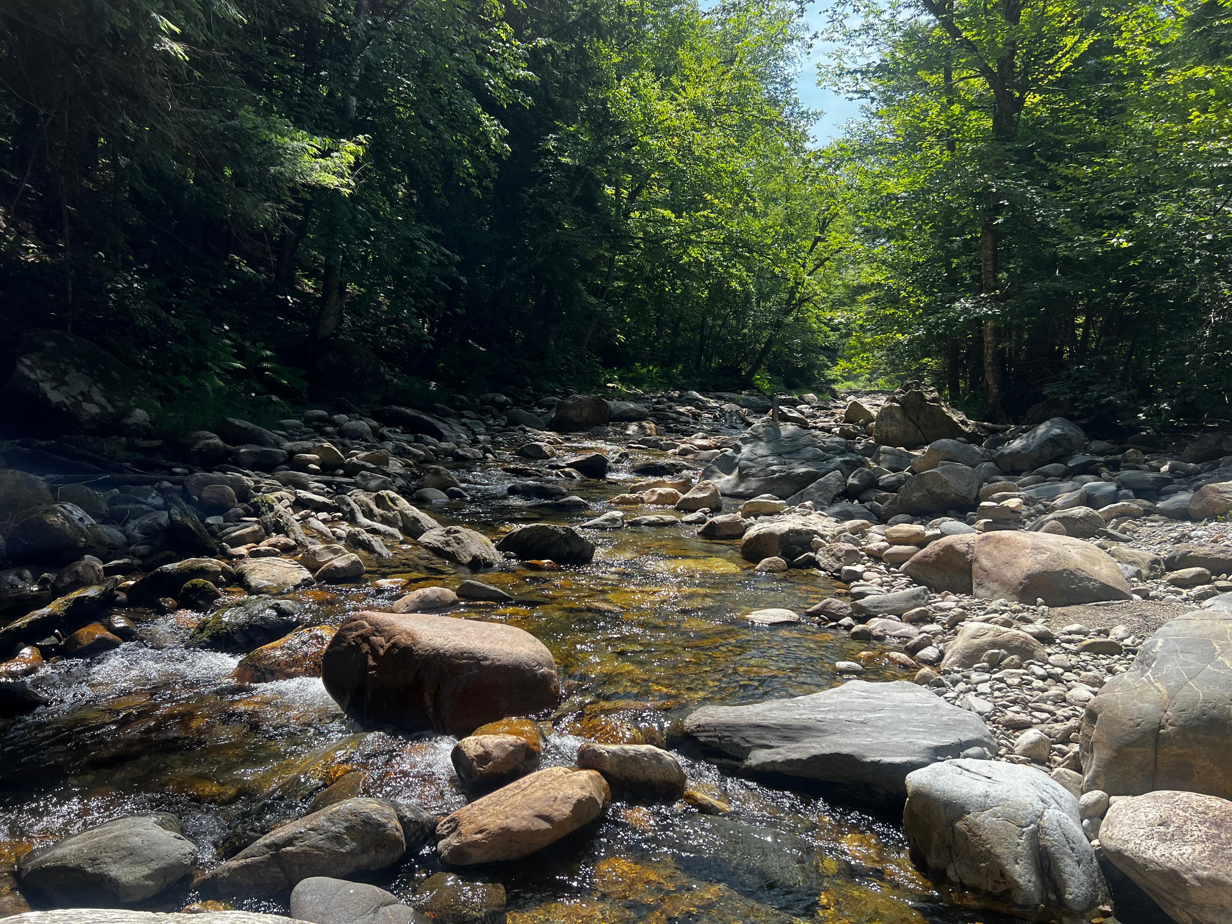 The river on the property, quarter mile from the house.