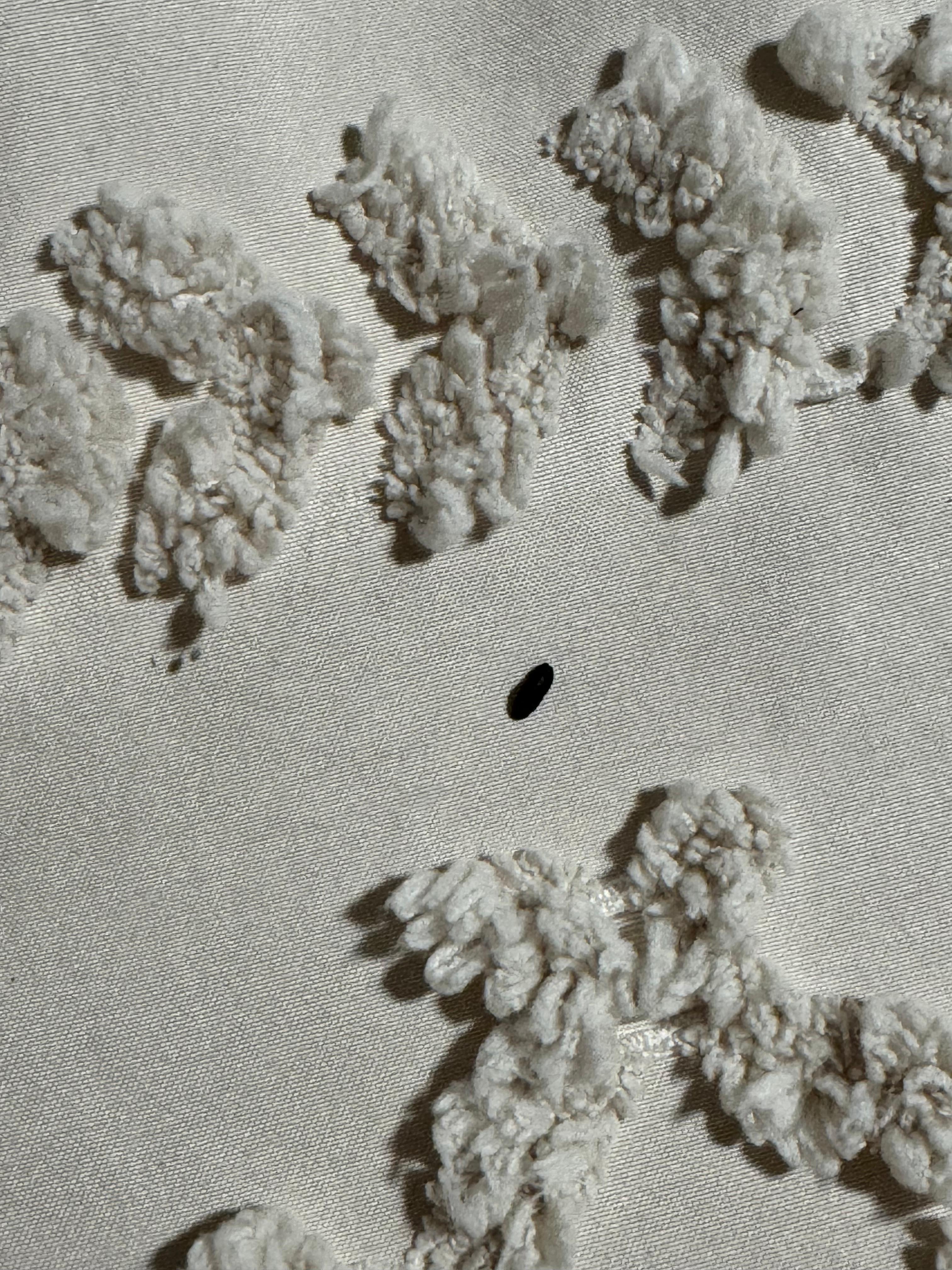 Dropping on top of bed 