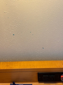 Stains on the wall