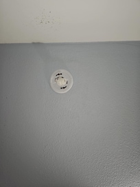 Fire alarm disabled