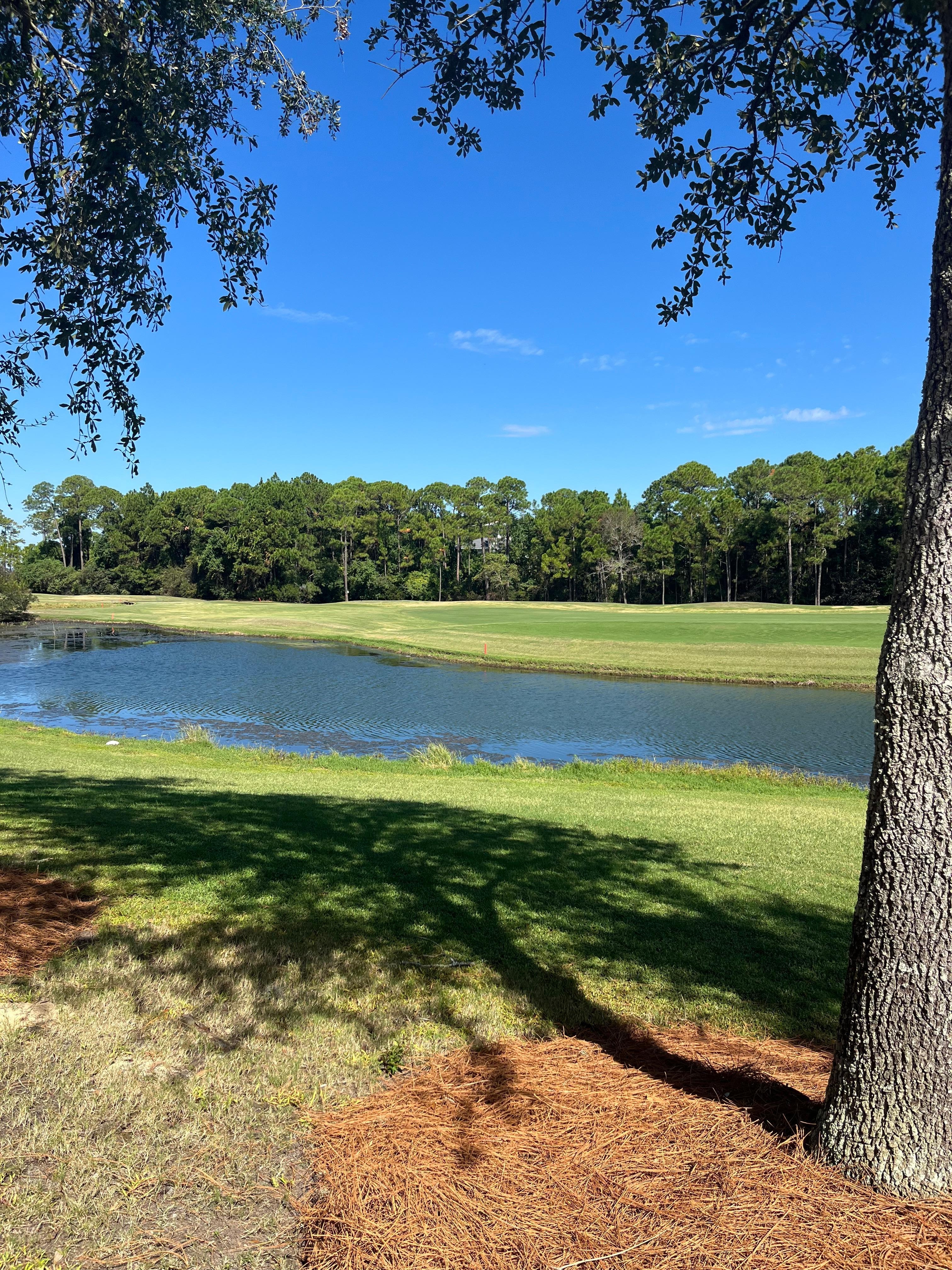  View of golf course while walking grounds of property 
