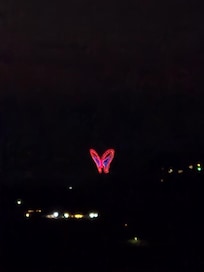 Fireworks from Dollywood, nightly.