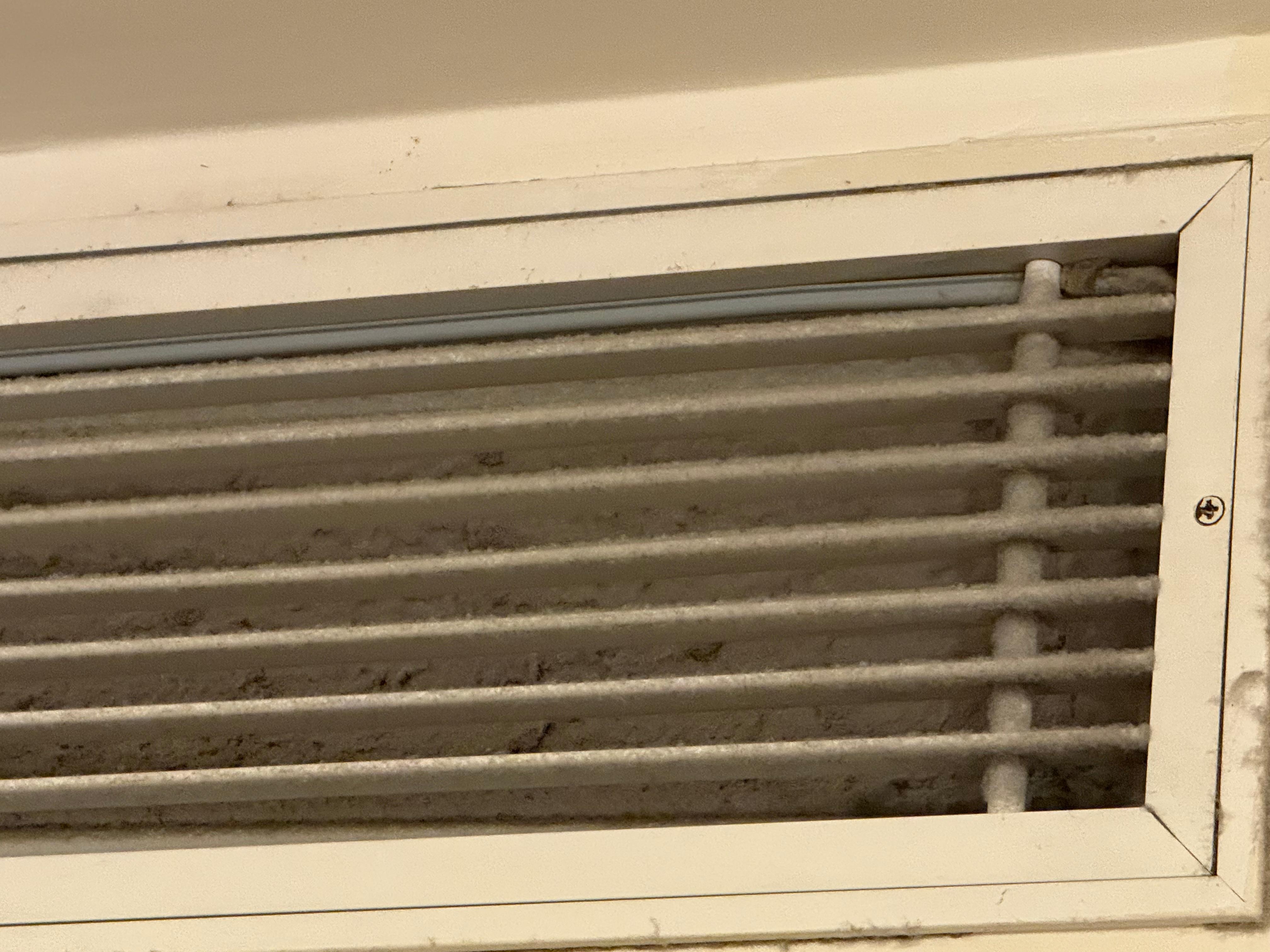 Dryer Lint in the vent