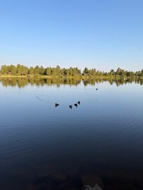 Beautiful morning