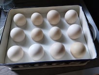 Delicious eggs