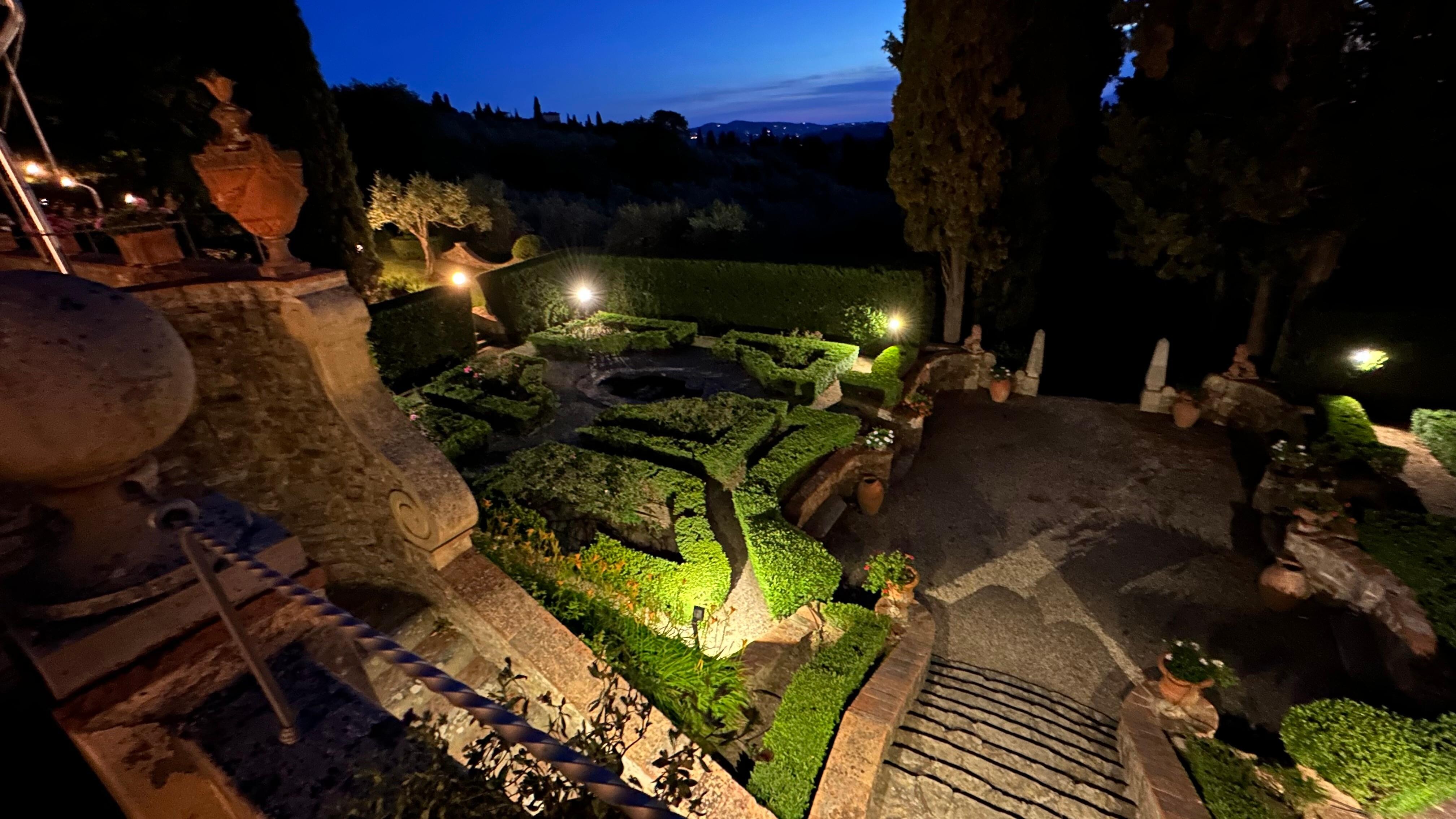 View of the garden from the room.  