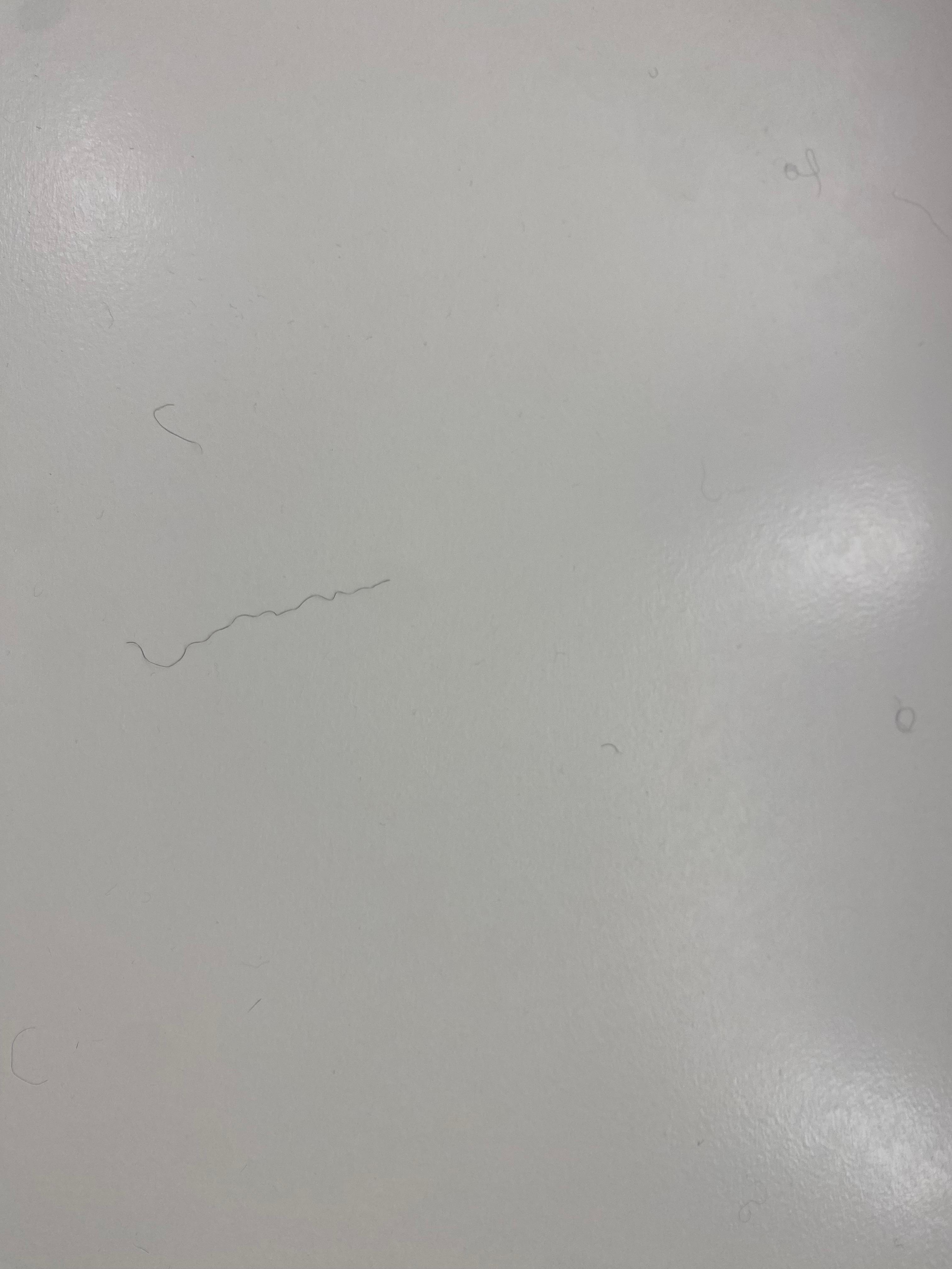 Hair left on the back of the bathroom door