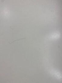 Hair left on the back of the bathroom door