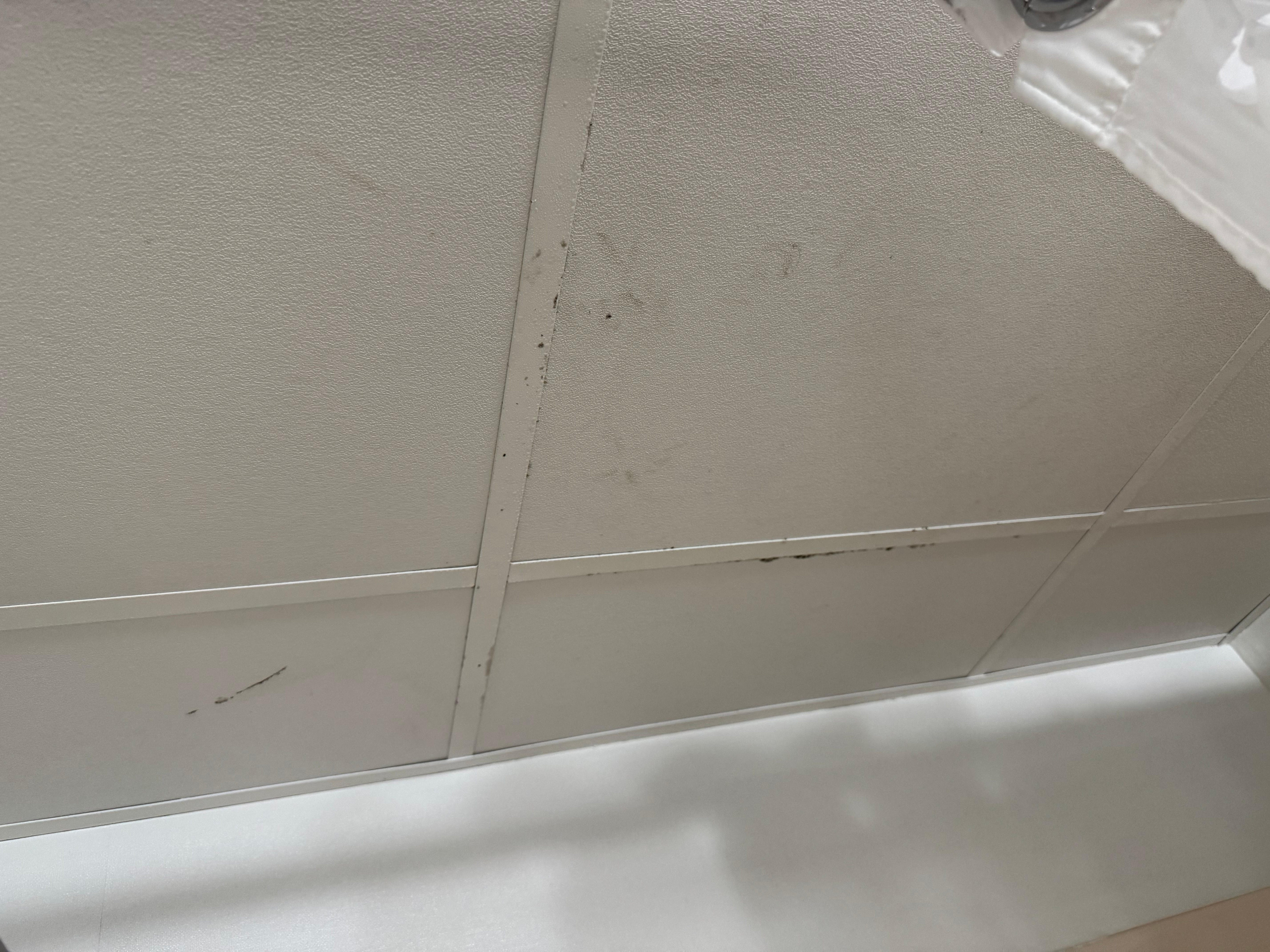 Shower ceiling